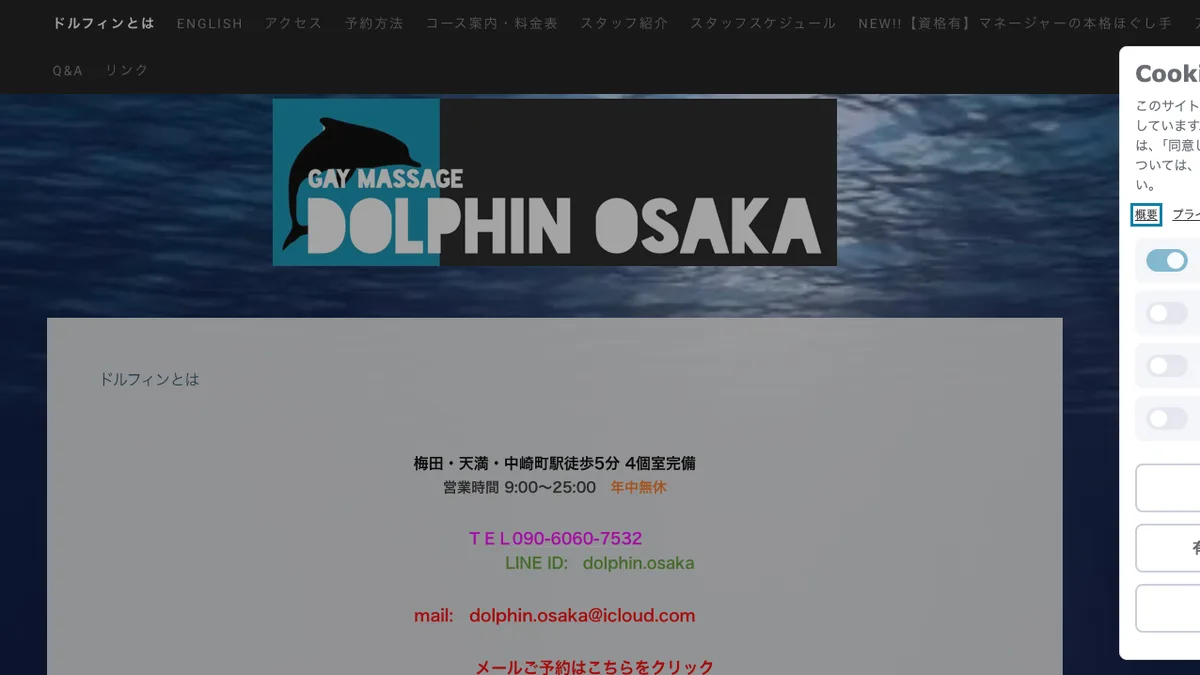 Dolphin Osaka — official website screenshot